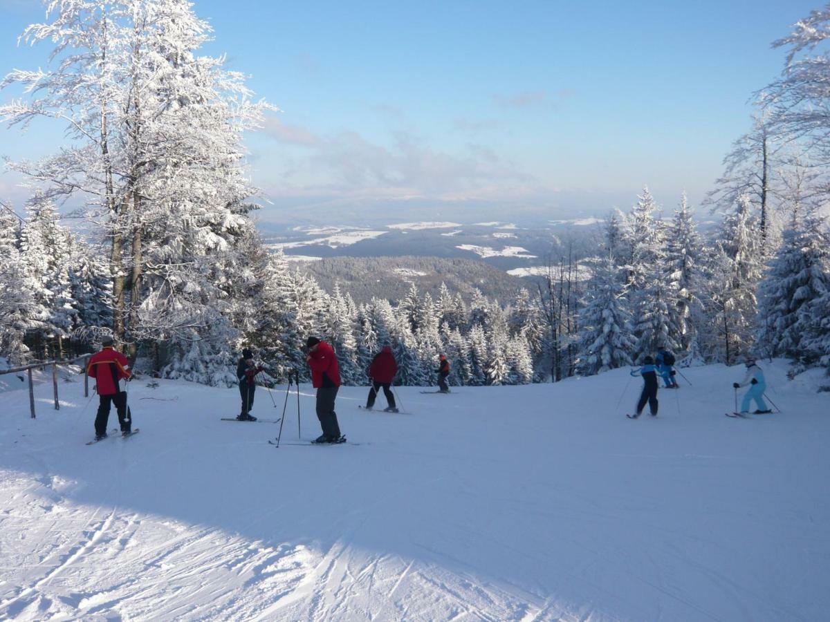 Ferienwohnungen Koenig Bischofsmais Zewnętrze zdjęcie